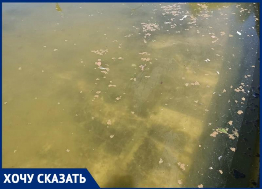 Самый большой фонтан юга России пугает волгоградцев пеной и грязью