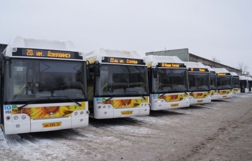 Волгоградцы подскажут чиновникам, как наладить движение автобусов в городе