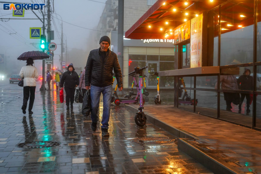 Блокировку льготных проездных начнут в Волгограде с 1 ноября 