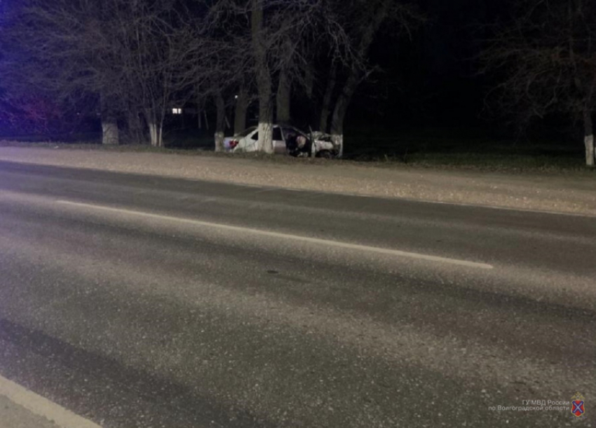 Машину отбросило в дерево, водитель погиб на месте: страшное ДТП под Волгоградом