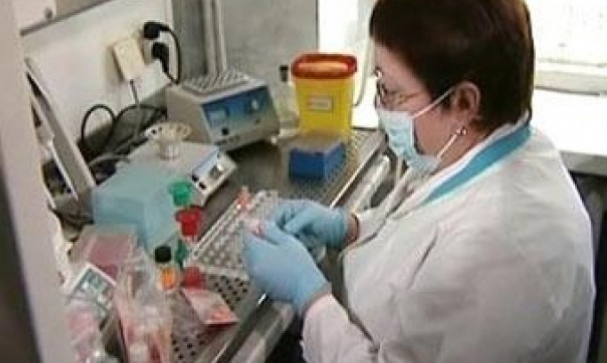 Волгоградской области угрожает эпидемия холеры