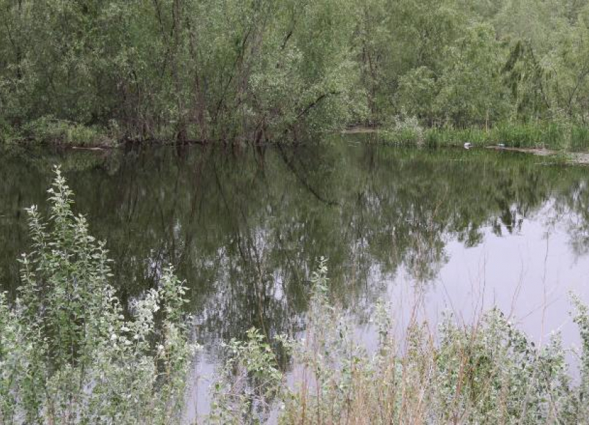 В Волго-Ахтубинской пойме пытаются удержать сброшенную воду