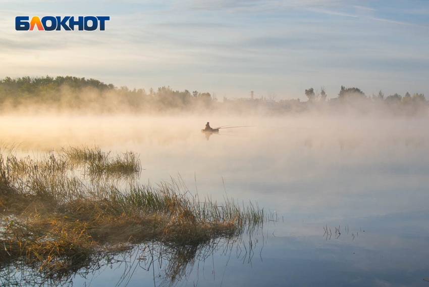 Специальный режим введен в Волгоградской области с 20 марта
