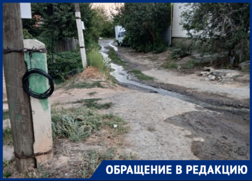 Кишечную палочку ждут волгоградцы в домах с видом на Родину-мать