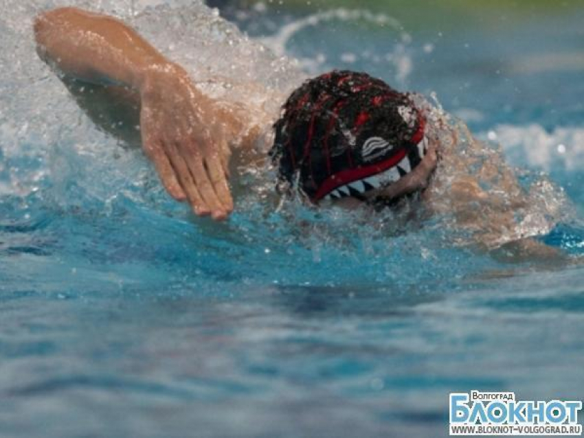 Волгоградцы установили 5 мировых рекордов по плаванию