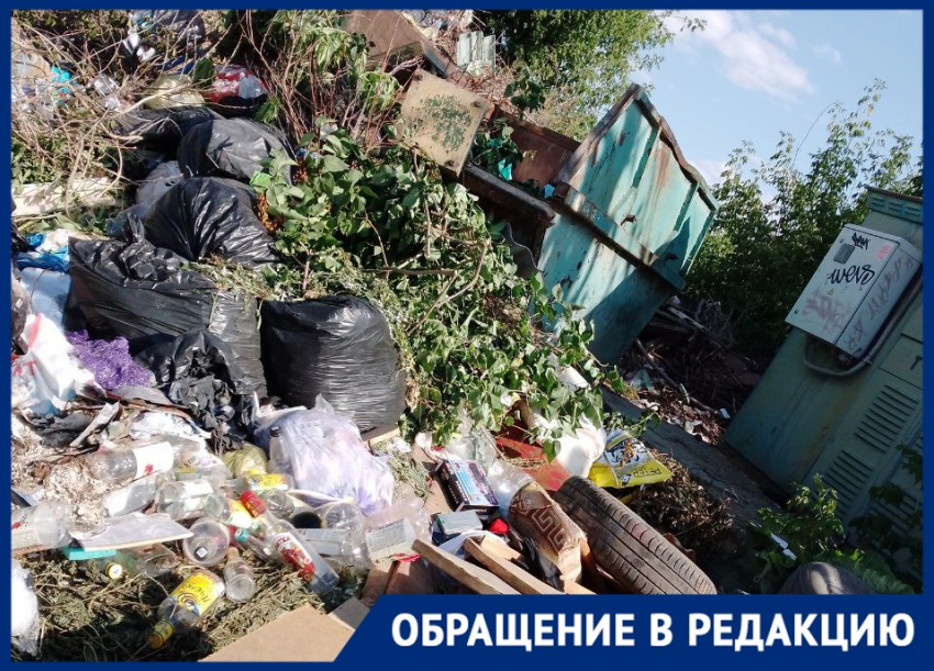 "30 миллиардов на мусорную реформу - крысам под хвост?": в Волгограде перестали вывозить отходы