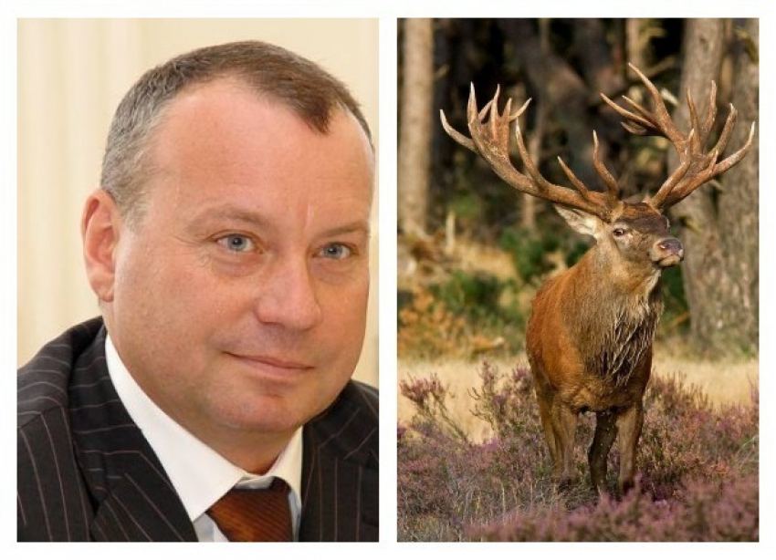 Виталий Лихачев признался волгоградцам, что до политики выхаживал раненых оленей