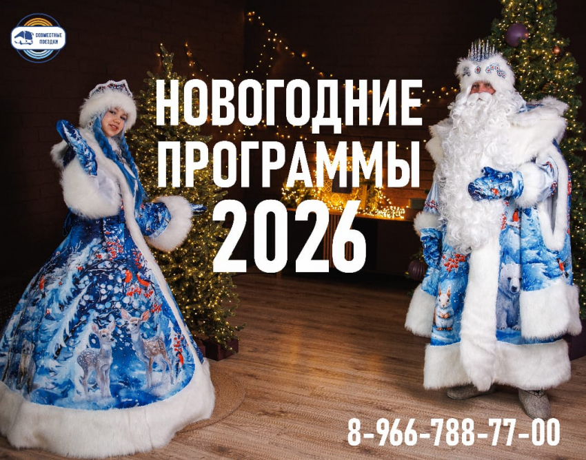 Новогоднее приключение с квестами и интерактивами. 2000 руб/чел. 