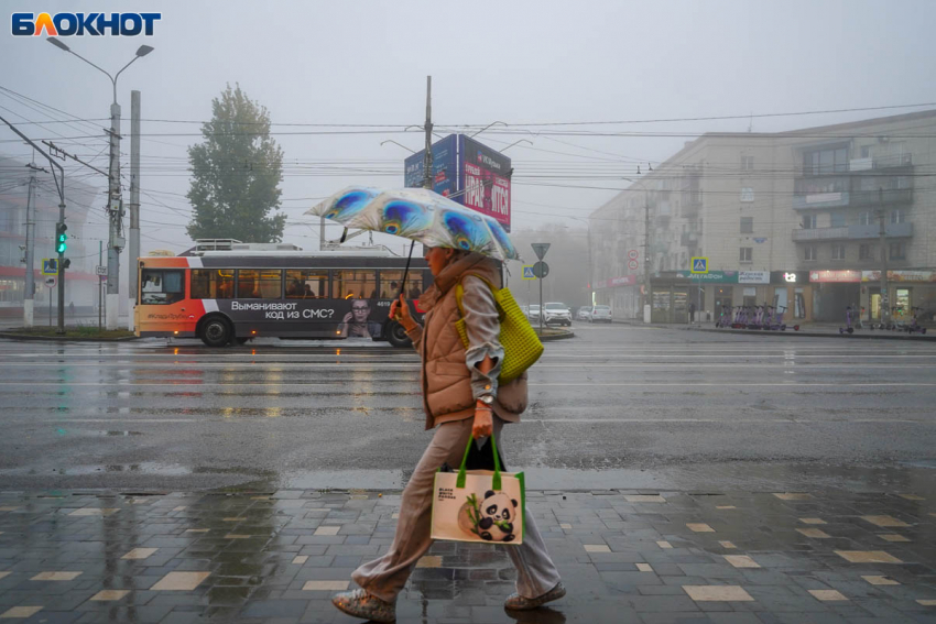 Сбой в оплате проезда произошел в волгоградском транспорте 