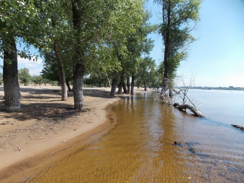 В Волгограде 43-летняя женщина пыталась попить воды из Волги и утонула