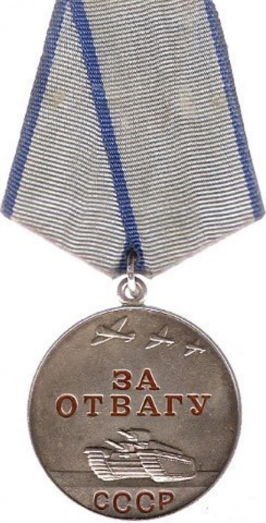 Волгоградка нашла в огороде медаль «За отвагу"