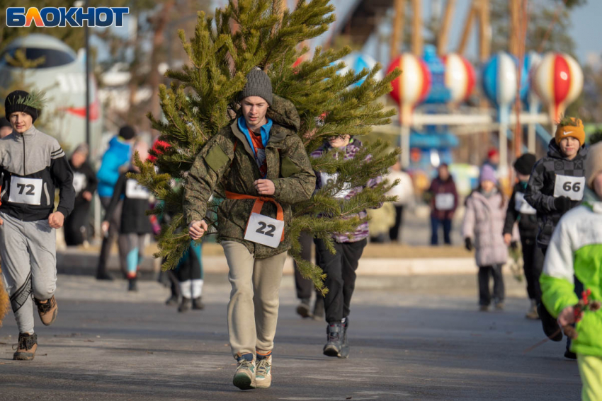 Почти в два раза подорожали новогодние ели в Волгограде
