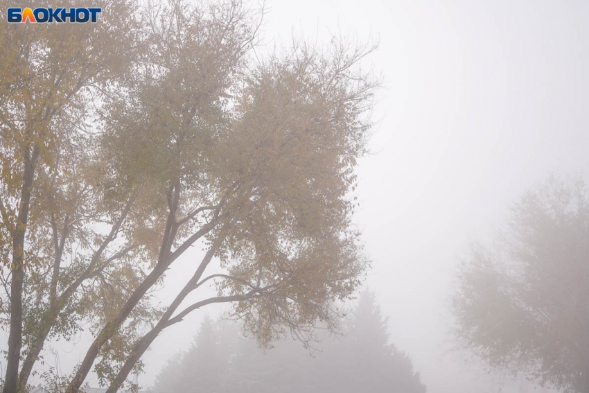 Мужчину убили на охоте в Волгоградской области 