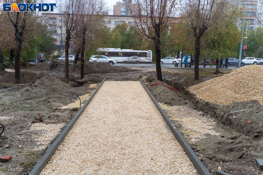 Приезд Мизулиной, спасение медведя, ссылка Короткова в Красноармейский: итоги 27 октября в Волгограде