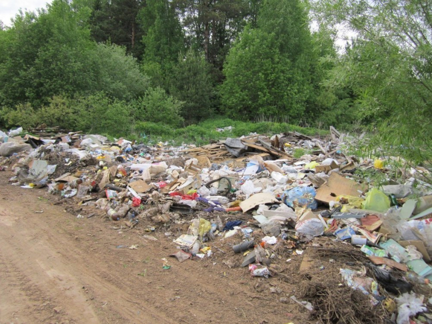 В Волгограде накажут предпринимателей, скидывающих отходы прямо на землю