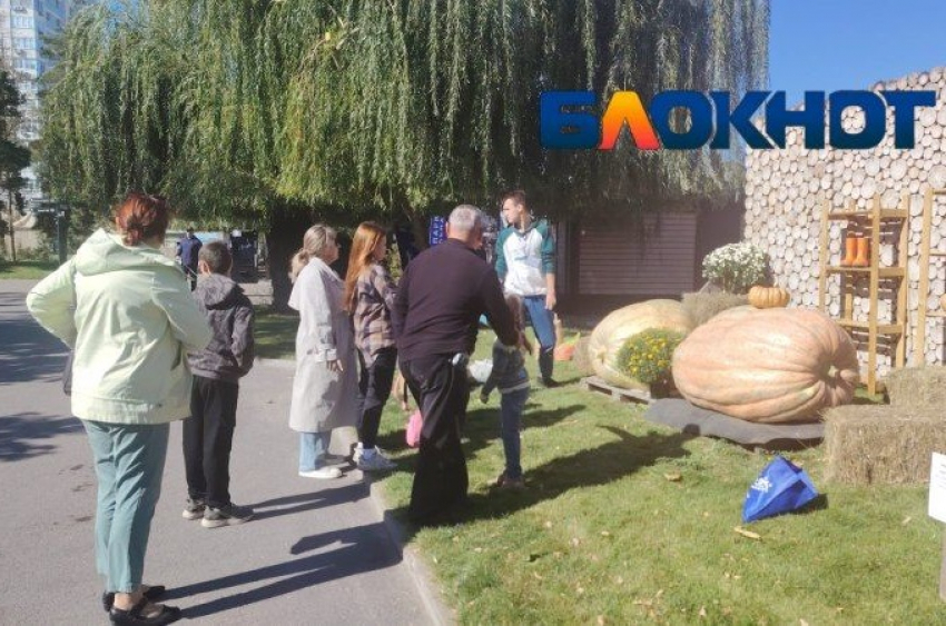 Очередь сфотографироваться с тыквами-гигантами выстроилась в Волгограде