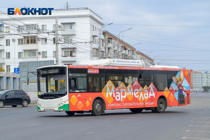 О скотских условиях работы заявили волгоградские водители автобусов: в мэрии считают, что это не так