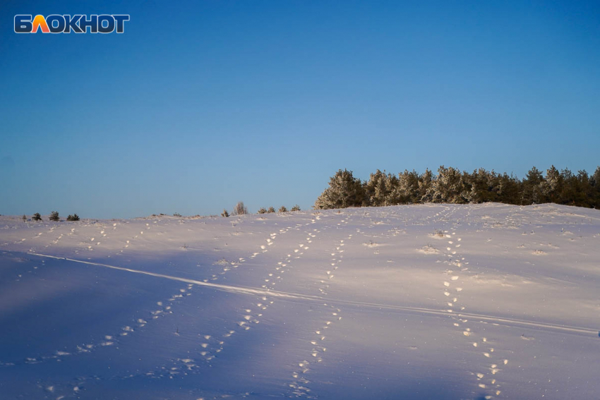  Пятый месяц ищут таинственно пропавшего Дмитрия Косова в Волгоградской области 