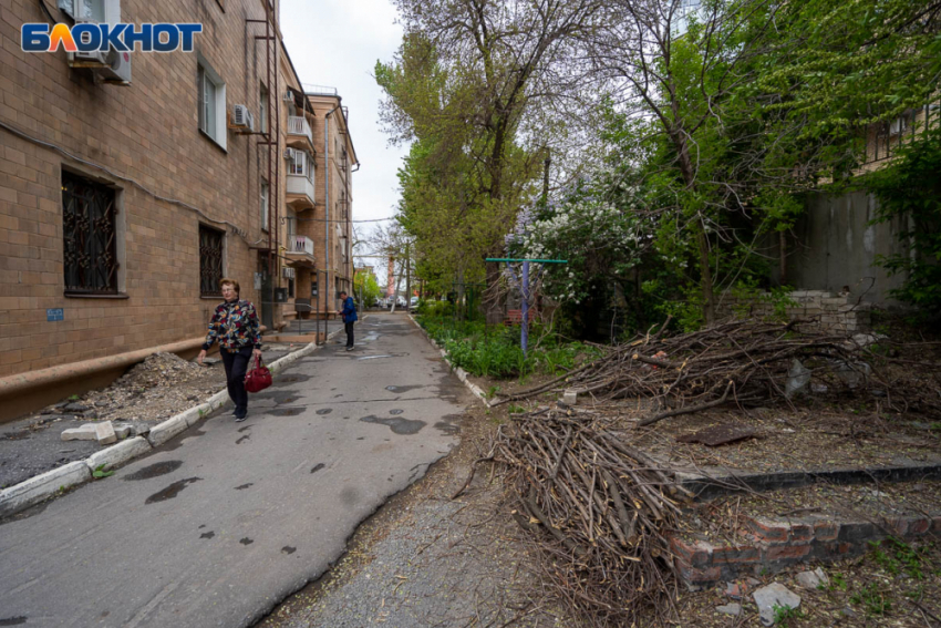 Чиновники выспрашивают у волгоградцев о проблемах с транспортом, экологией и зарплатами