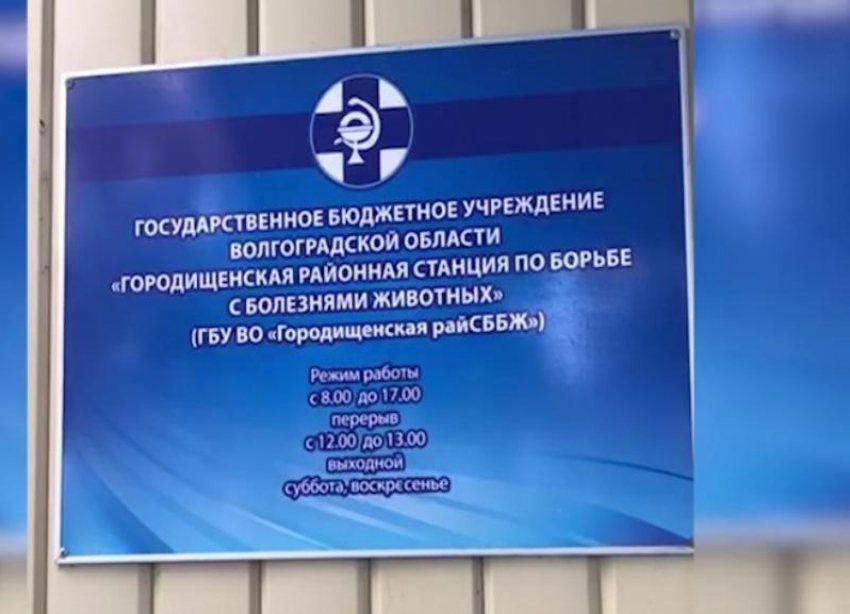 Во взятке в полтора миллиона рублей подозревают волгоградского ветеринара