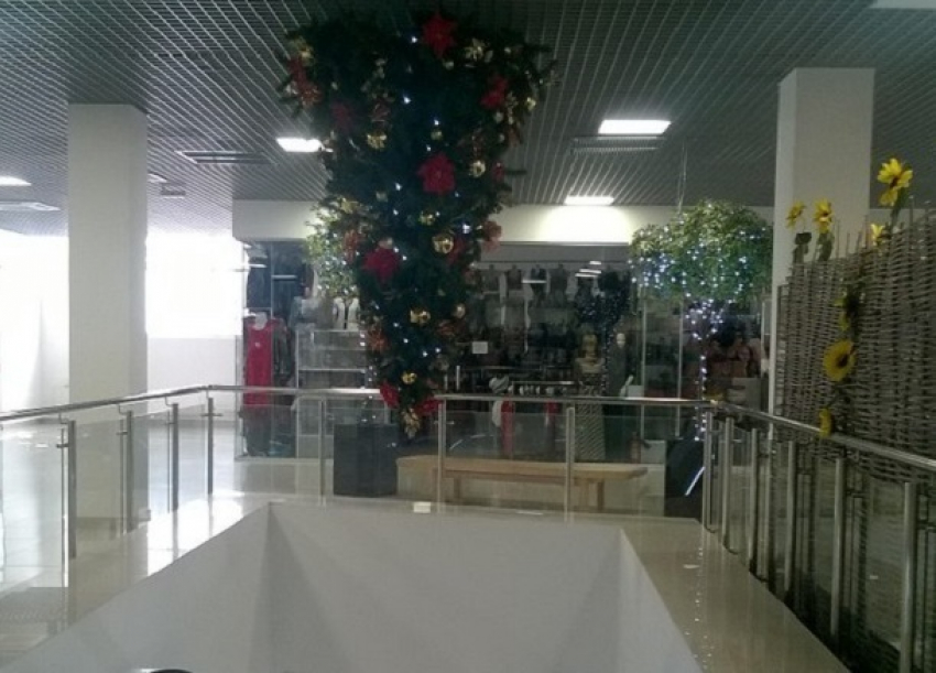 Новогодние елки перевернули в Волгограде