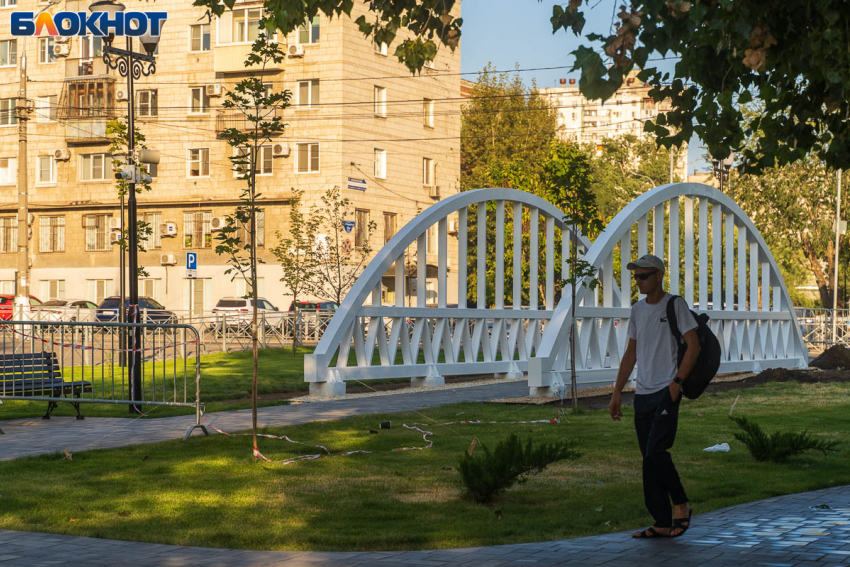 Статус умирающего присвоили жители скверу в центре Волгограда за 114 млн 