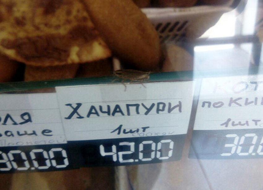 «Хачапури с живым мясом» возмутили волгоградцев