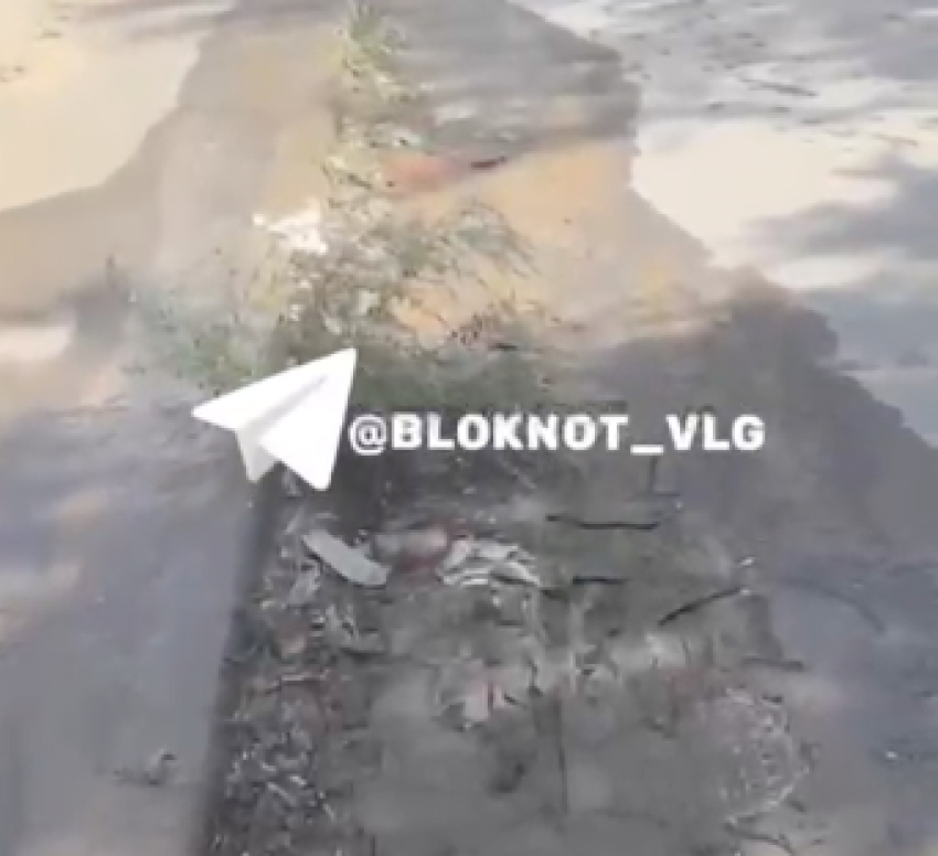 Стихийный ручей забил в Волгограде – видео 