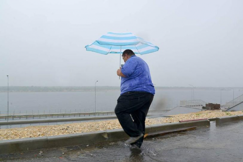 Жители Волгограда признались в любви к дождю