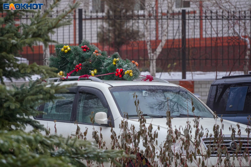 Сотрудникам волгоградского Росимущества заказали перевозку на 3,5 млн