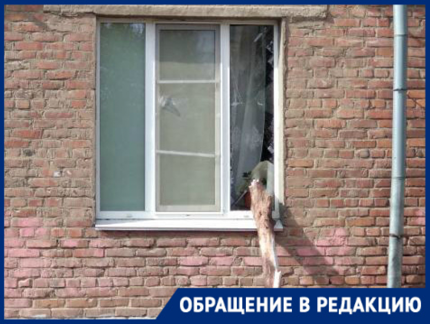 Спилить сухое дерево, а не любоваться выбитыми ветками стеклами надеются жители центра Волгограда 