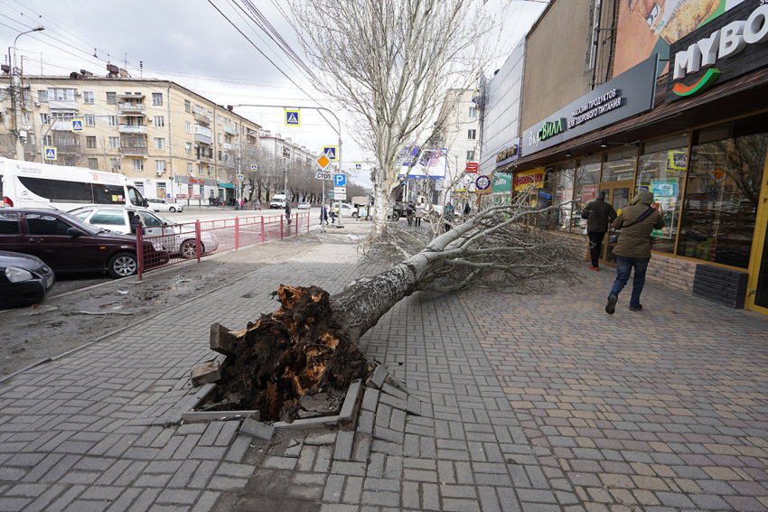 МЧС предупреждает о грозах и усилении ветра в Волгоградской области