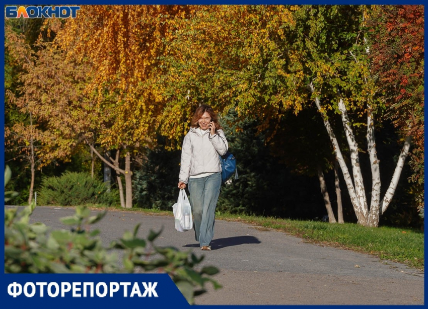 Мега-потепление накрыло Волгоград в конце октября: смотрим на красивую осень