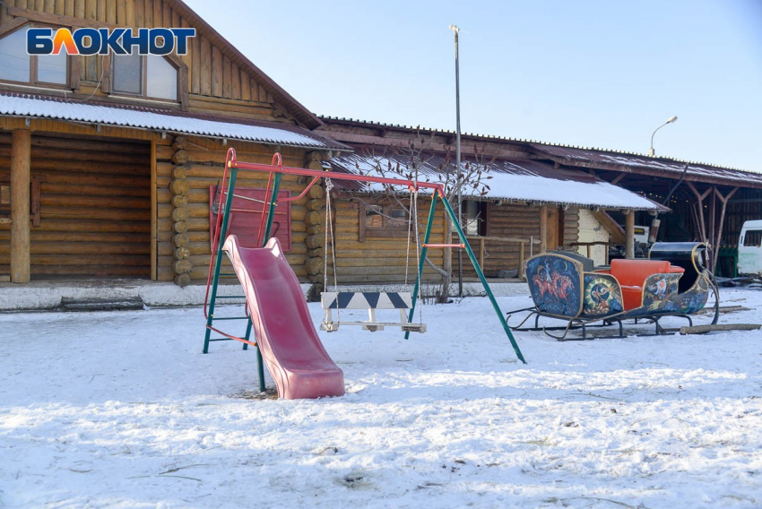 Саратовские эксперты запросили для проведения экспертизы по сносу «Соснового бора» 234 тысячи