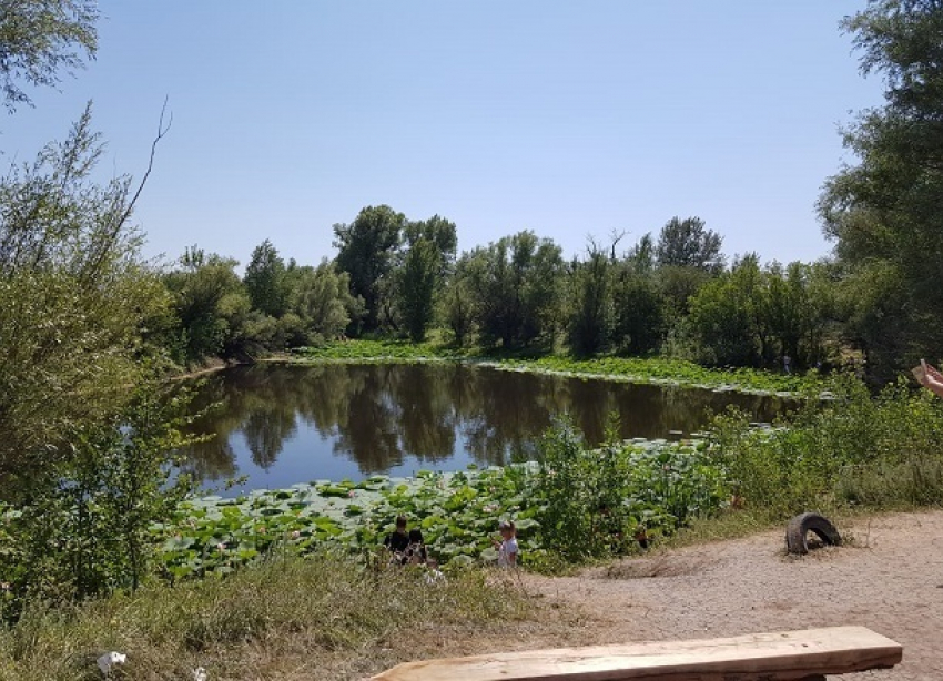 Тело жителя Калмыкии обнаружили на озере под Волгоградом