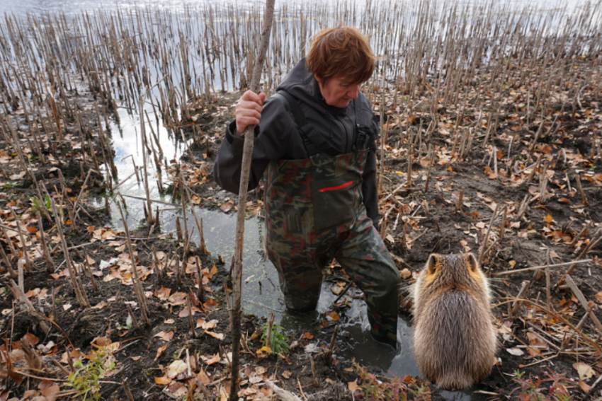 Древнейший хищник прячется в волгоградских подземных лабиринтах
