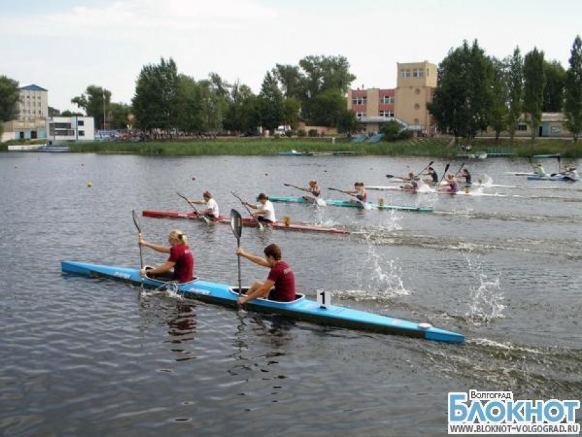 Волгоградцы собрали урожай медалей в Энгельсе