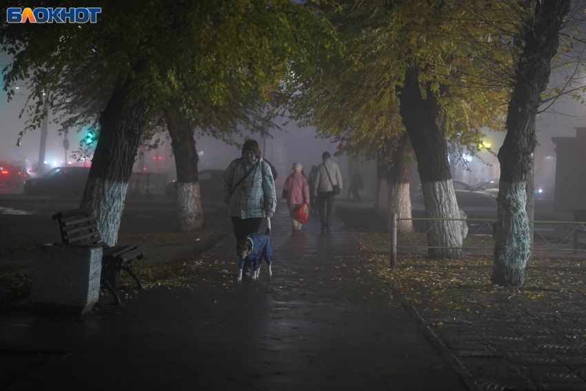 Повышенное давление, туман и прохлада: синоптики рассказали о погоде в Волгограде