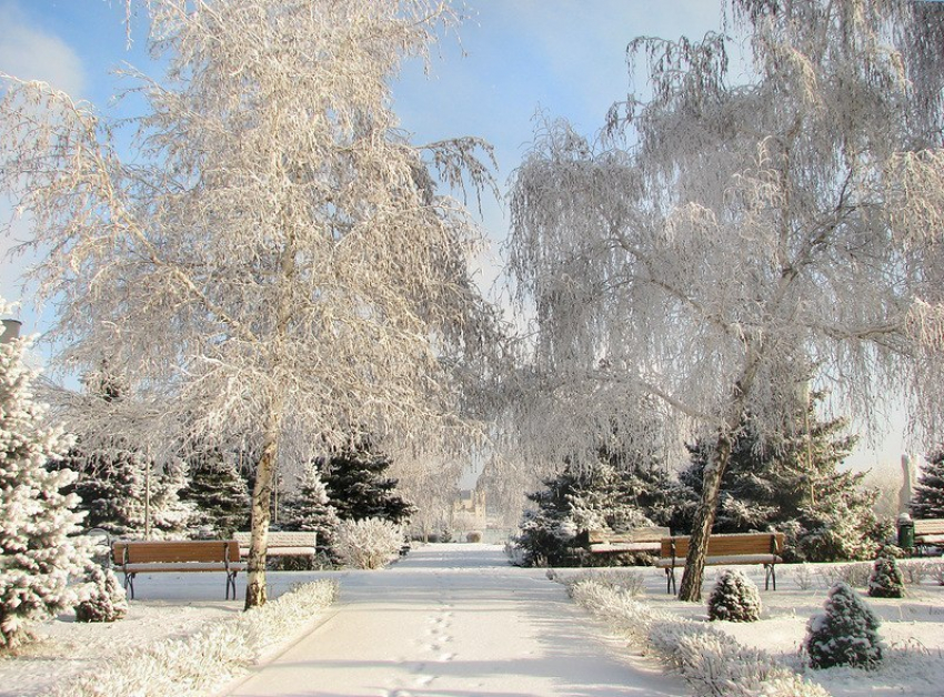 Резкое потепление на 20 градусов ожидает жителей Волгограда 