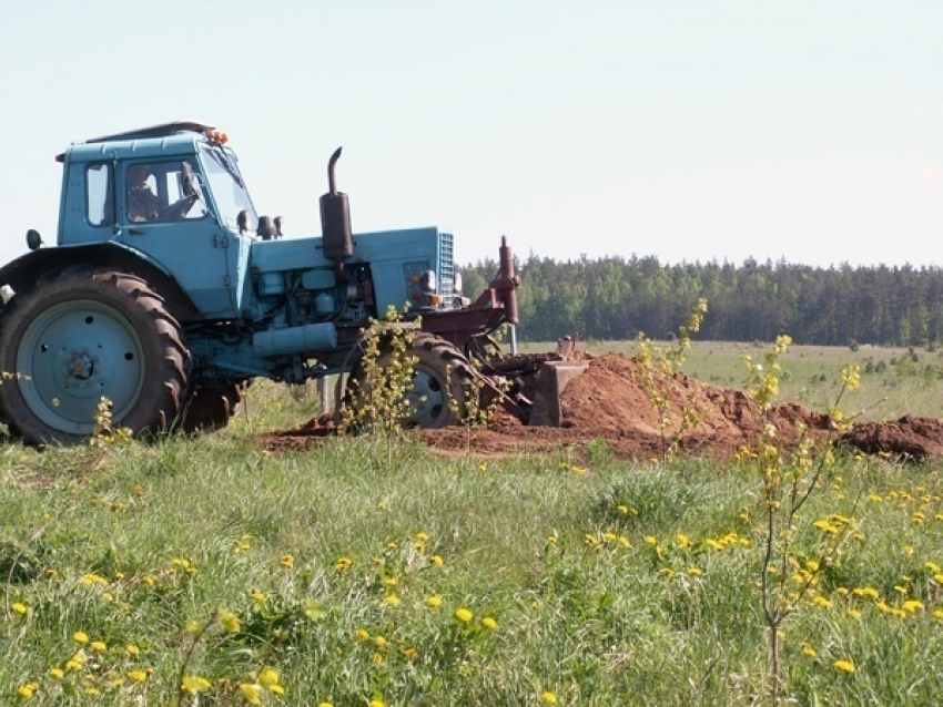 Под Волгоградом тракторист задавил друга прицепом