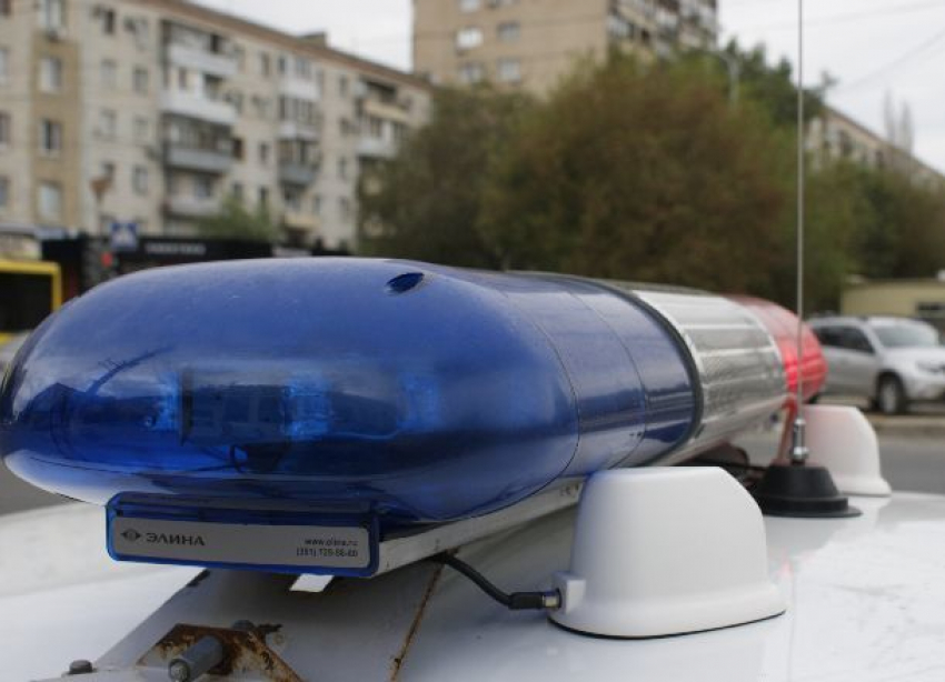 Пятилетний ребенок и женщина пострадали в столкновении Ford с фурой в Волгоградской области