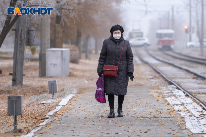 Четверо умерли и 233 заразились: оперативные данные по ситуации с COVID-19 в Волгоградской области на 24 ноября