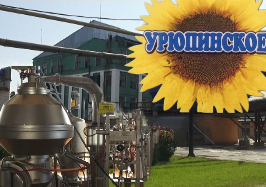 Китайцы ценят как элитный продукт: завод-миллиардер прославил столицу российской глубинки