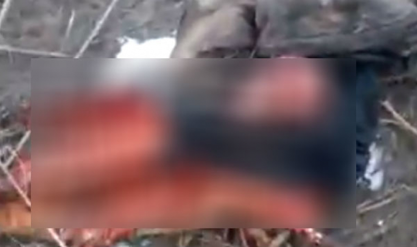 В Волгограде пользователи сети нашли труп мужчины, пропавшего месяц назад 