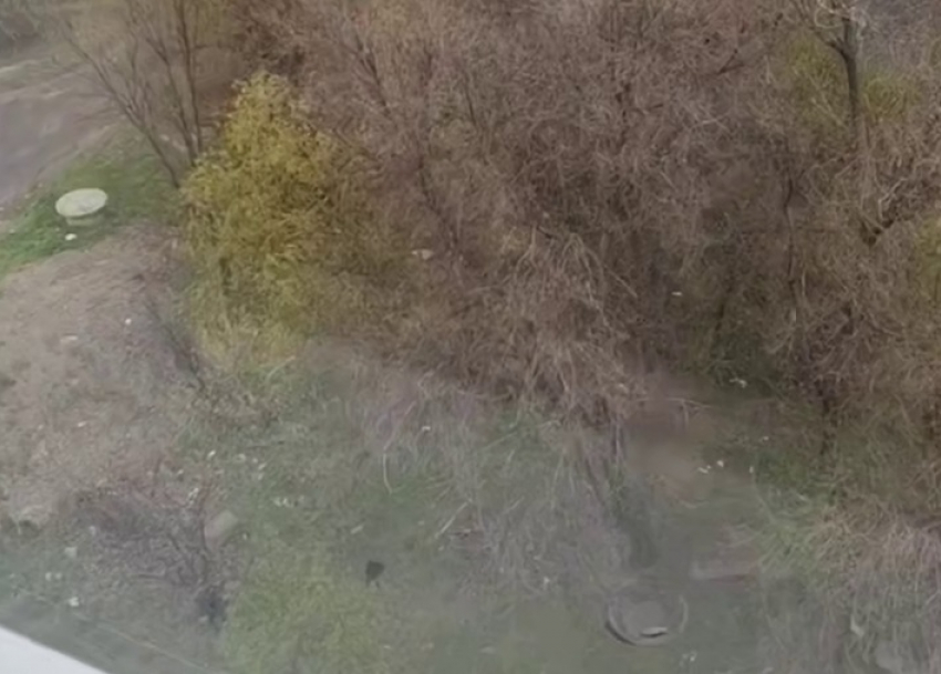 Снег прошел в Волгограде под конец апреля – видео