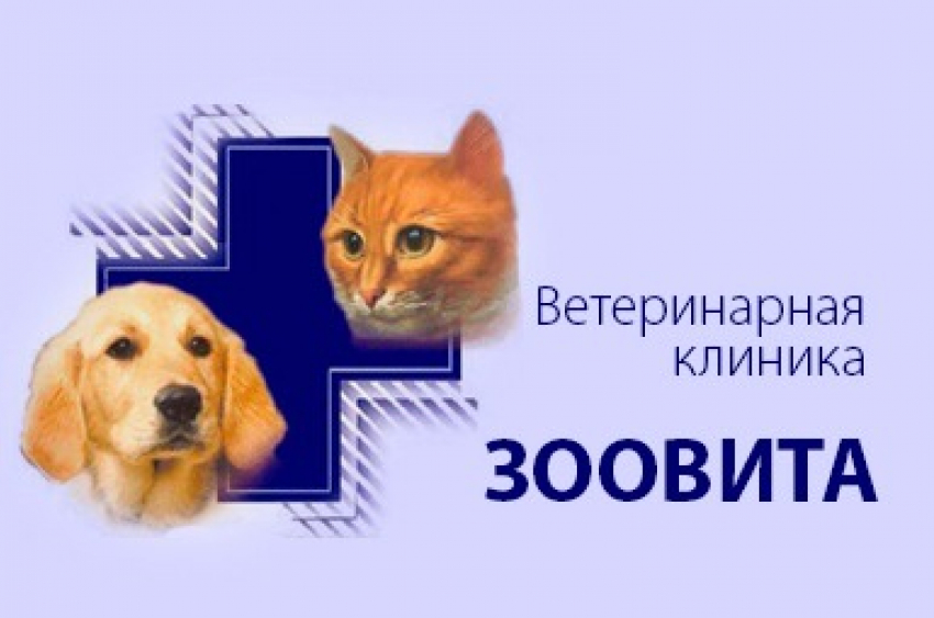 Вет. клиника. Лечение. Корма. Ветеринарные препараты. Заходи в справочник