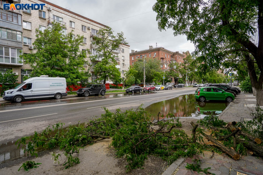 Затяжное похолодание пришло в Европейскую Россию: что ждать волгоградцам