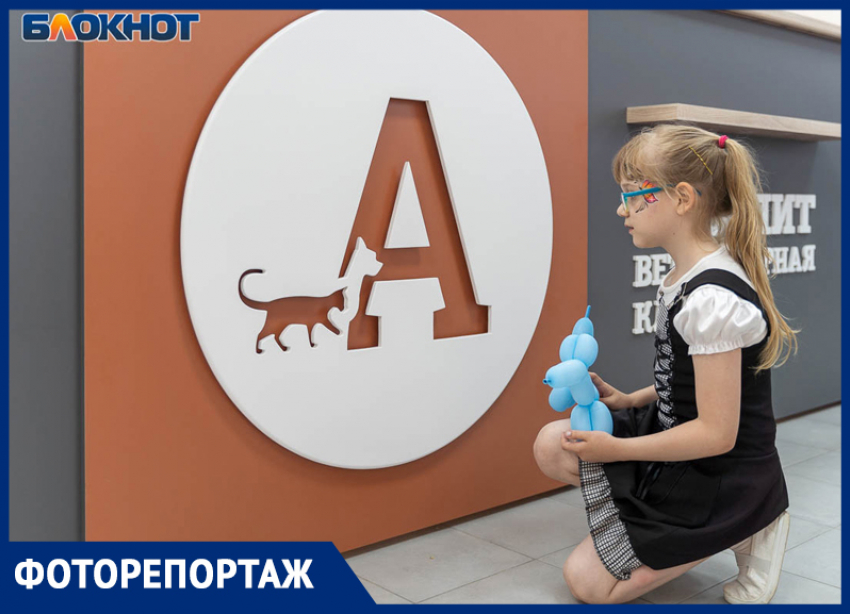 Новая большая ветеринарная клиника «Айболит» открылась в Волгограде на Семи Ветрах