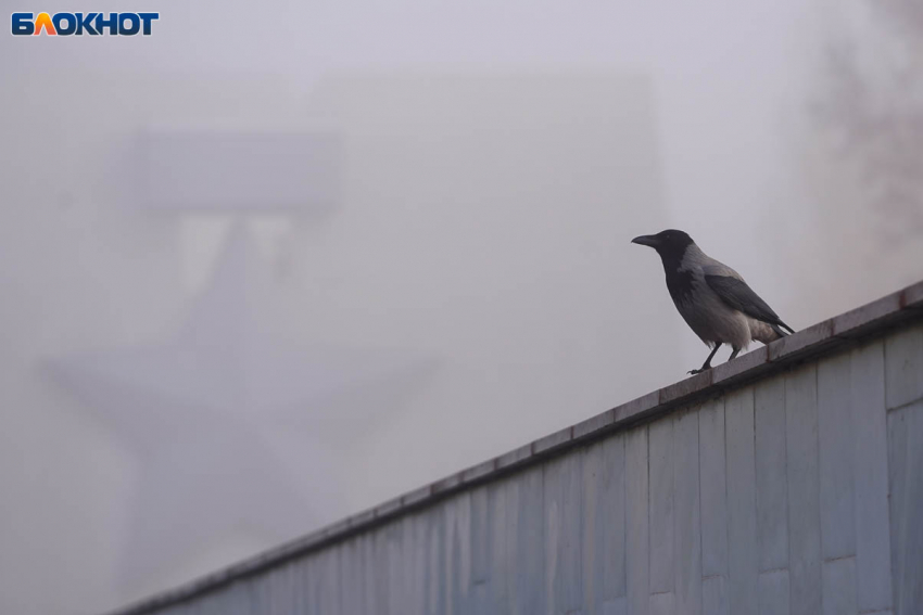 Подростки с игрушечным пистолетом избили прохожих в Михайловке