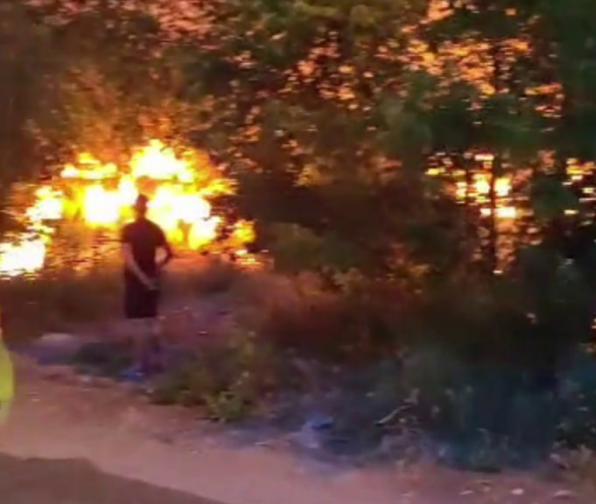 Очередной пожар на мусорке вспыхнул в Волгограде: видео
